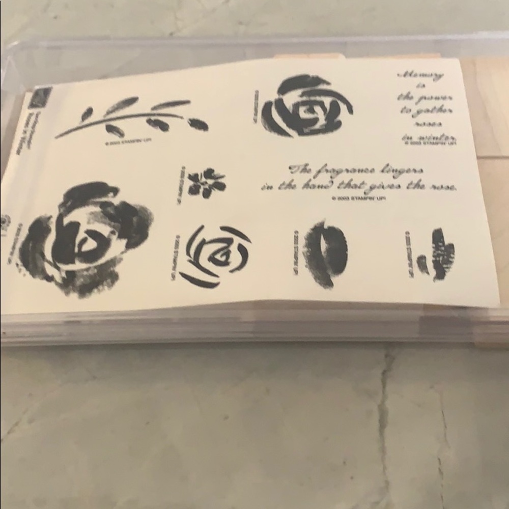 STAMPIN UP! Roses in Winter - Picture 3 of 6